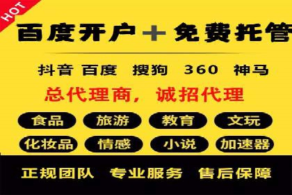某SEM主管的跨平台广告投放策略与成果