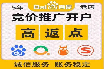 解析某某SEM服务公司的广告投放策略与效果评估